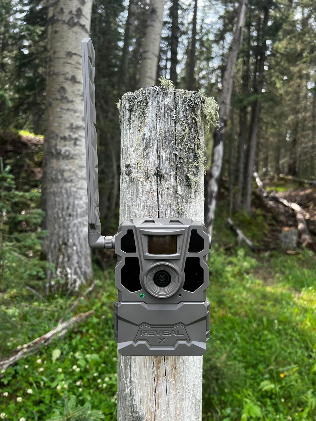 Reveal X 2.0 Cellular Trail Camera – 4G LTE Hunting and Remote Property Monitoring Camera, Motion Activated, No Wifi Required