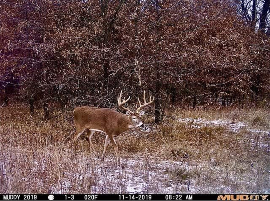 Muddy Matrix 36MP Cellular Trail Camera, 1080P Video, 80Ft Range | 36MP Photos, on Demand Capture via Command Pro App, Dual-Network, 80Ft Detection and Flash
